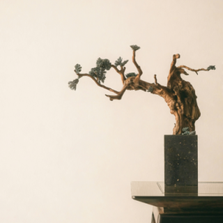 Hiina meditsiini diagnostika kursus I poolaasta vabakuulajale (400 x 400 px).png