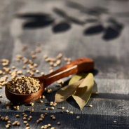 Hiina meditsiini diagnostika kursus terapeudile. I poolaasta.