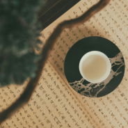 Moodul 1: Hiina meditsiini diagnostika põhimeetodid terapeudile (05.01)