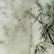 Moodul 2: Erinevad patoloogiad. Terapeudile (02.02)